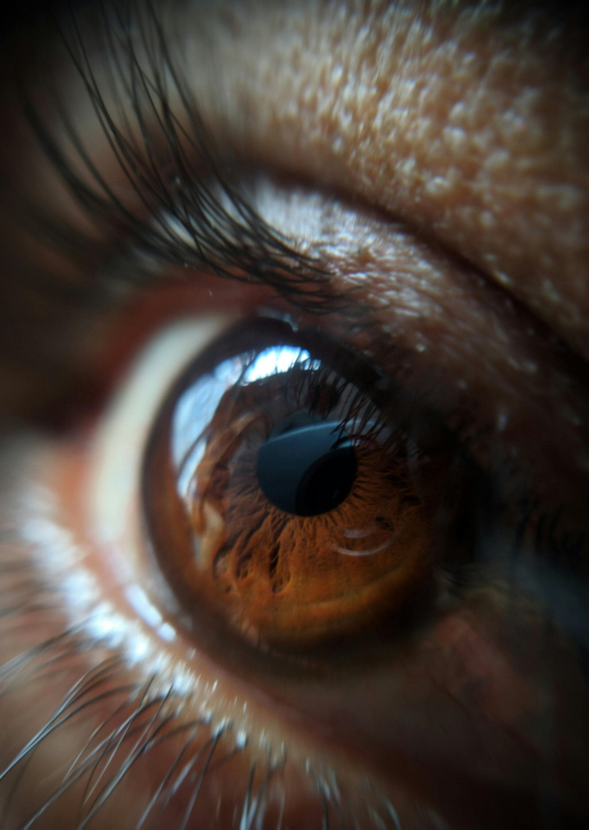 Oog voor de ander